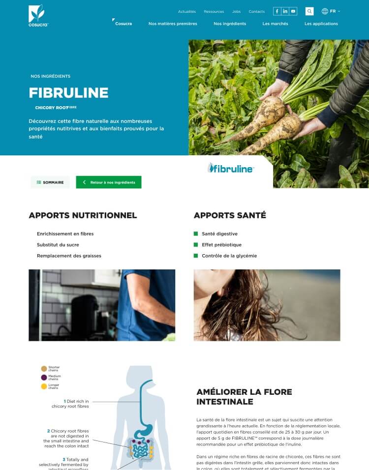 Capture d'écran du site Cosucra