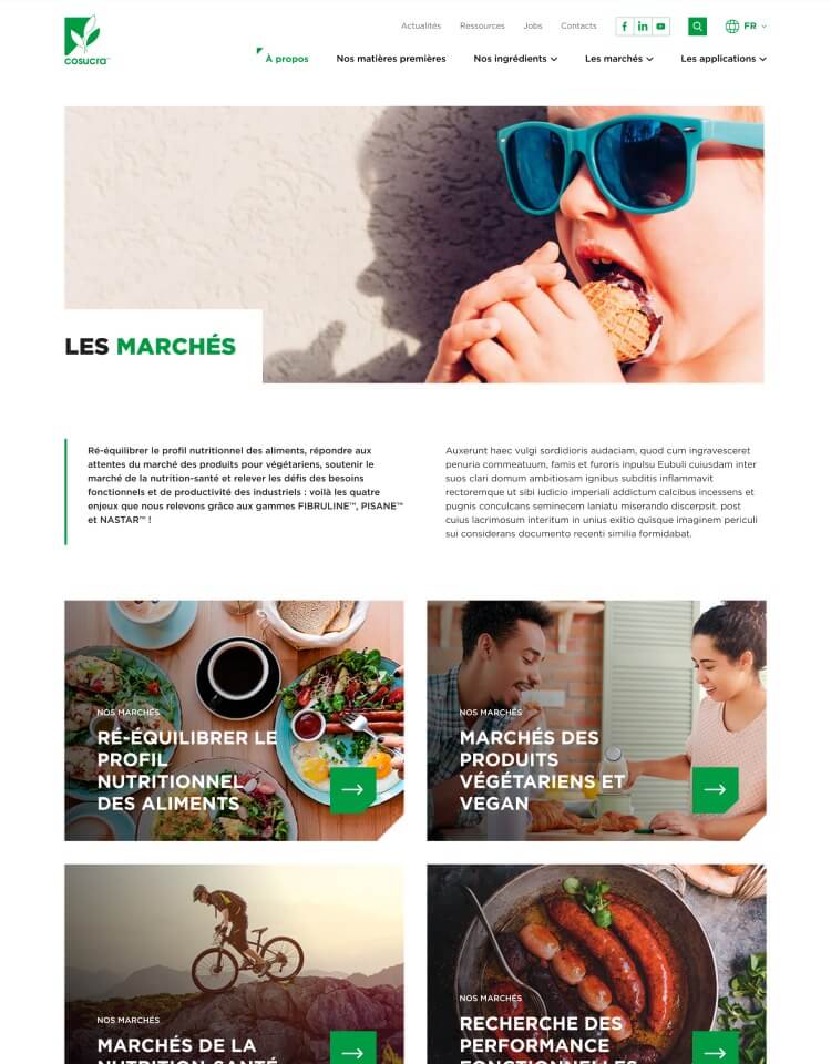 Capture d'écran du site Cosucra