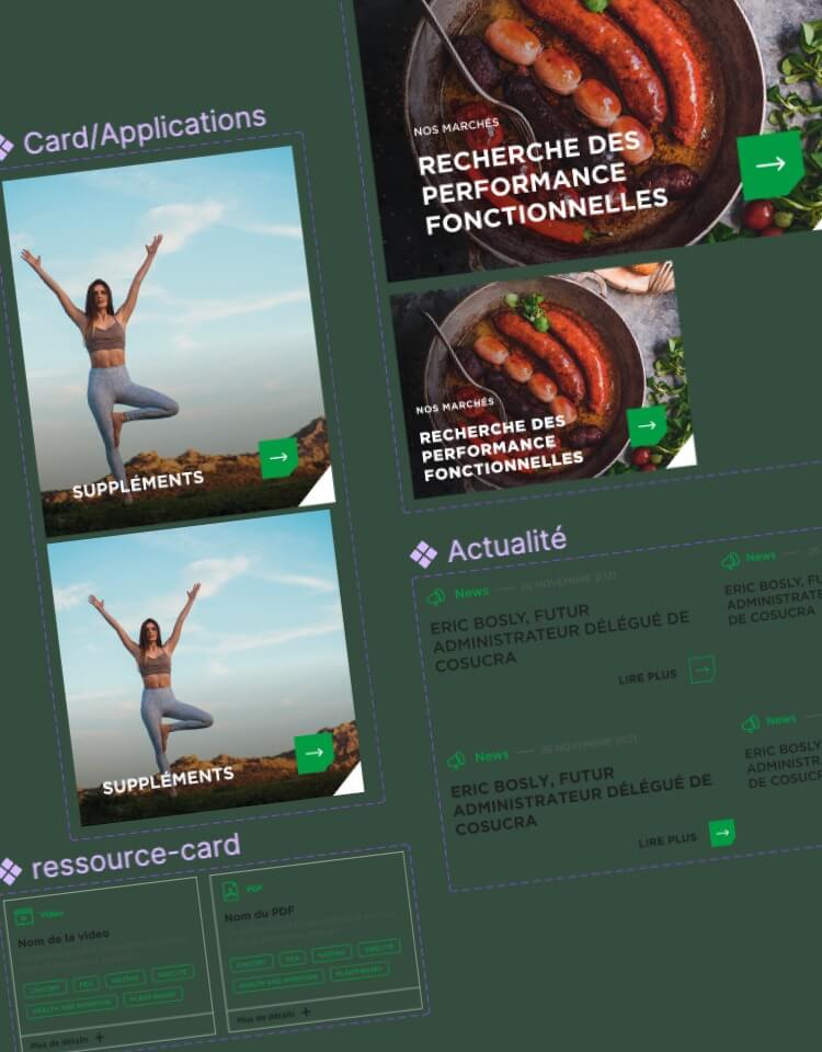 Éléments visuels du site Cosucra