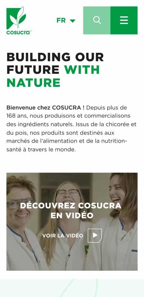 Capture d'écran du site Cosucra