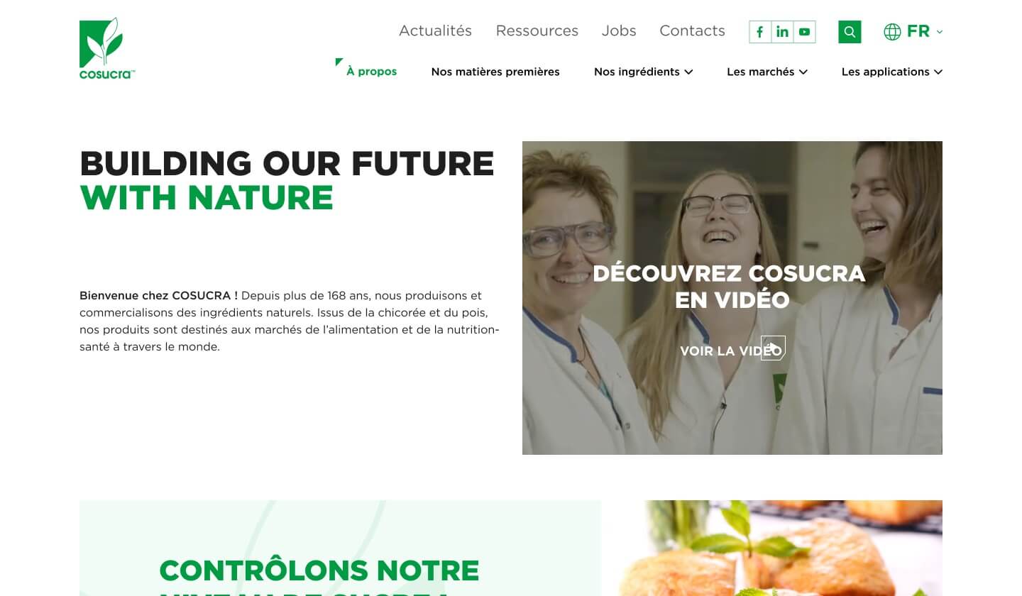 Capture d'écran du site Cosucra