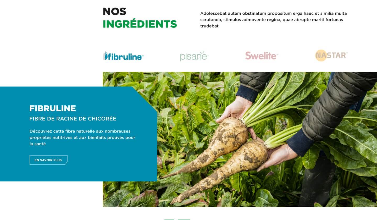 Capture d'écran du site Cosucra