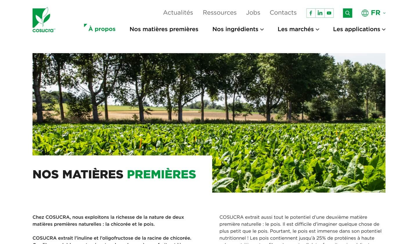 Capture d'écran du site Cosucra