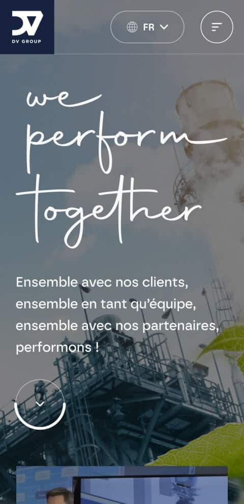 Capture d'écran du site internet DV Group