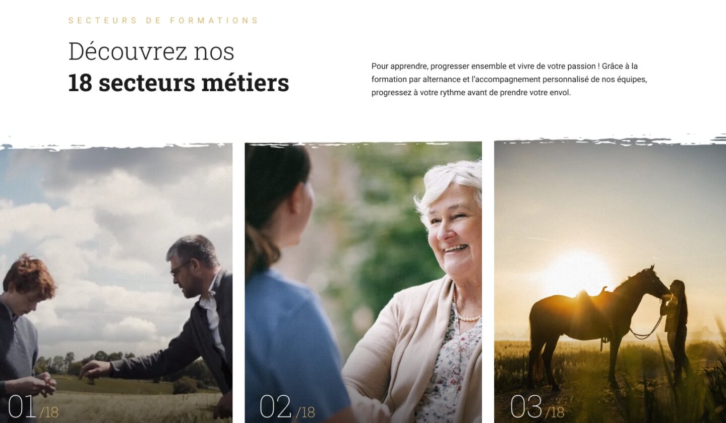 Capture d'écran du site internet MFR