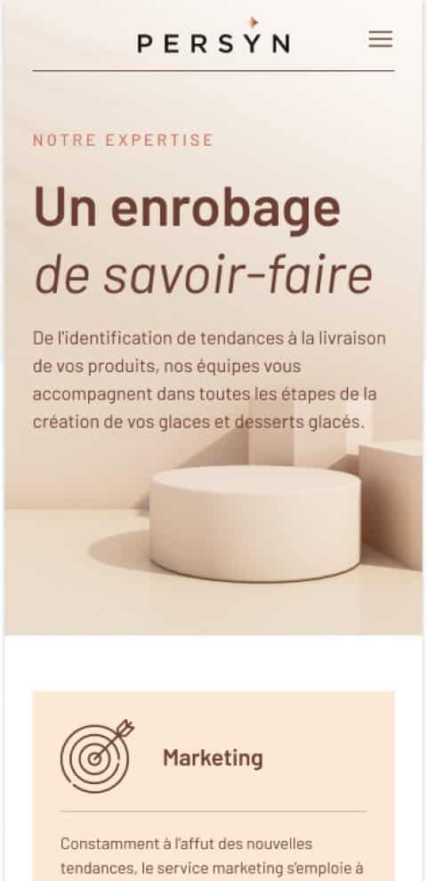 Capture d'écran du site internet de Persyn