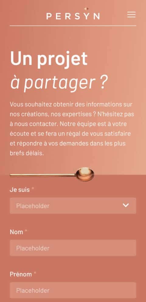Capture d'écran du site internet de Persyn