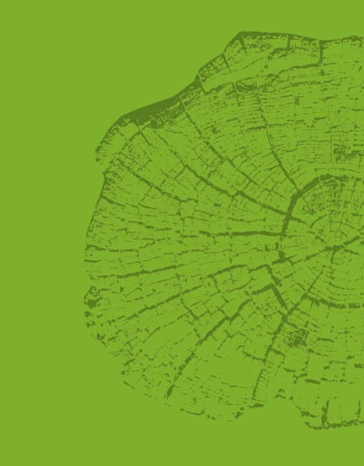 Visuel graphique d'un tronc d'arbre