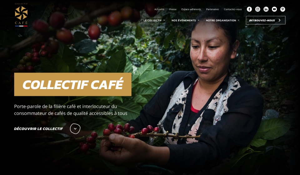 Capture d'écran du site Collectif Café, photo d'une femme récolant des graines de café