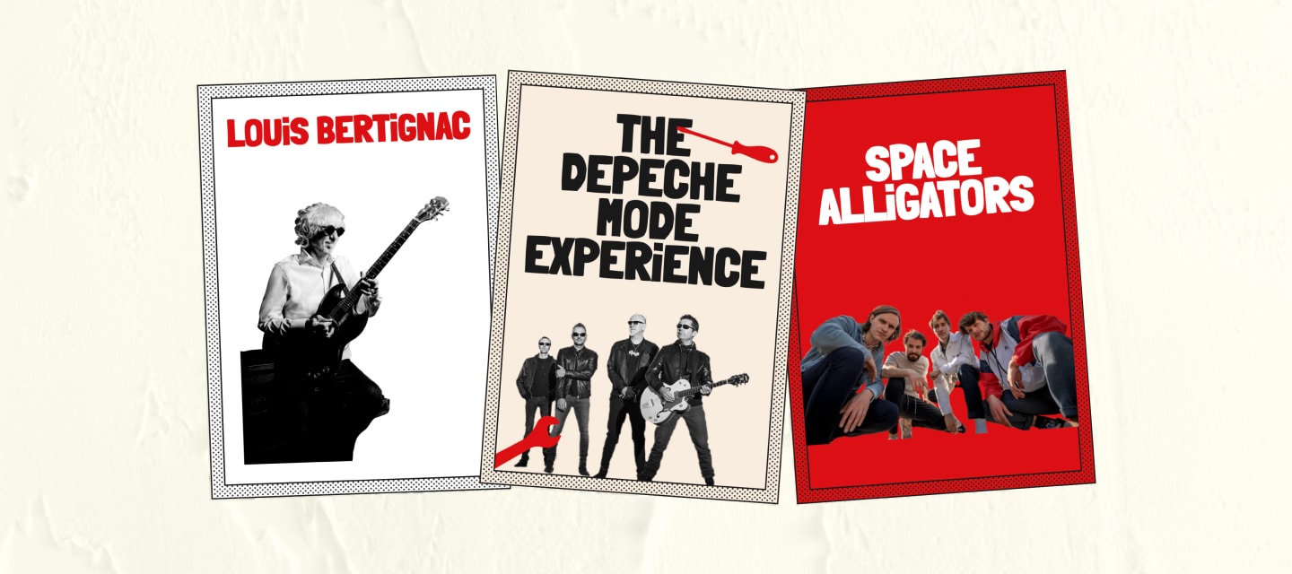 page sites festival bricos - louis bertignac, dépeche mode, space alligators